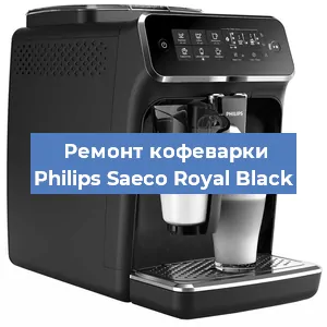 Декальцинация   кофемашины Philips Saeco Royal Black в Нижнем Новгороде